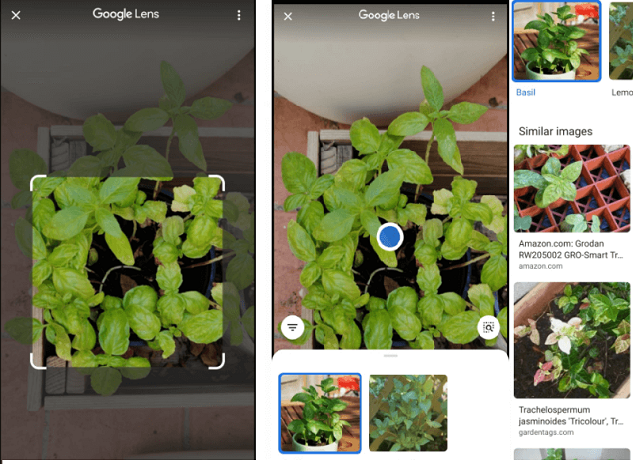 Google lens integrated into the camera app for most Android phones