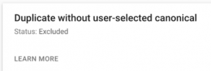 duplicate without user-selected canonical error in google search console