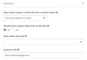 Inserting canonical tag into wordpress post