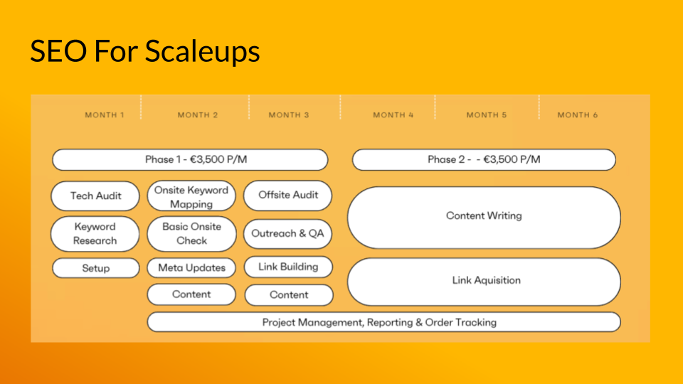 SEO For Scaleups